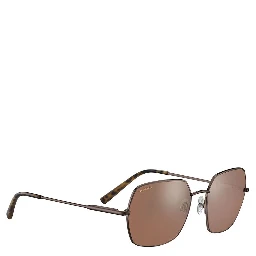 Brown Plastic Sunglasses