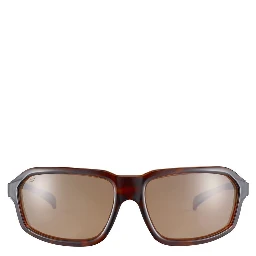 Brown Resin Sunglasses