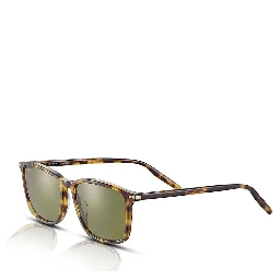 Brown Resin Sunglasses