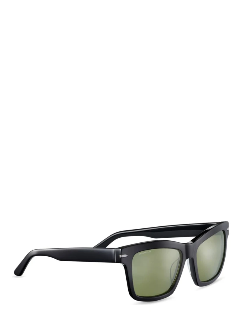 Black Plastic Sunglasses