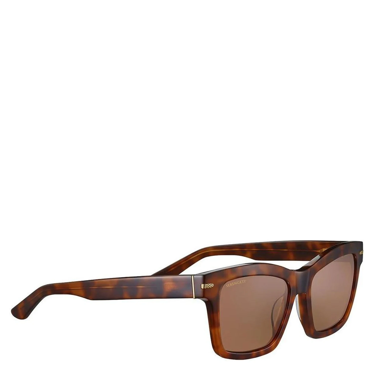 Brown Resin Sunglasses