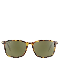 Brown Resin Sunglasses