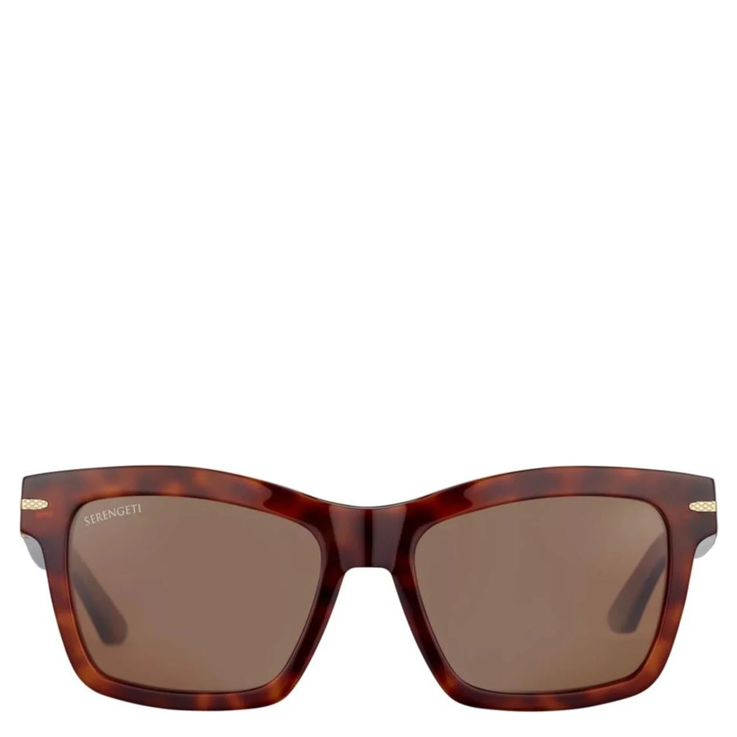 Brown Resin Sunglasses