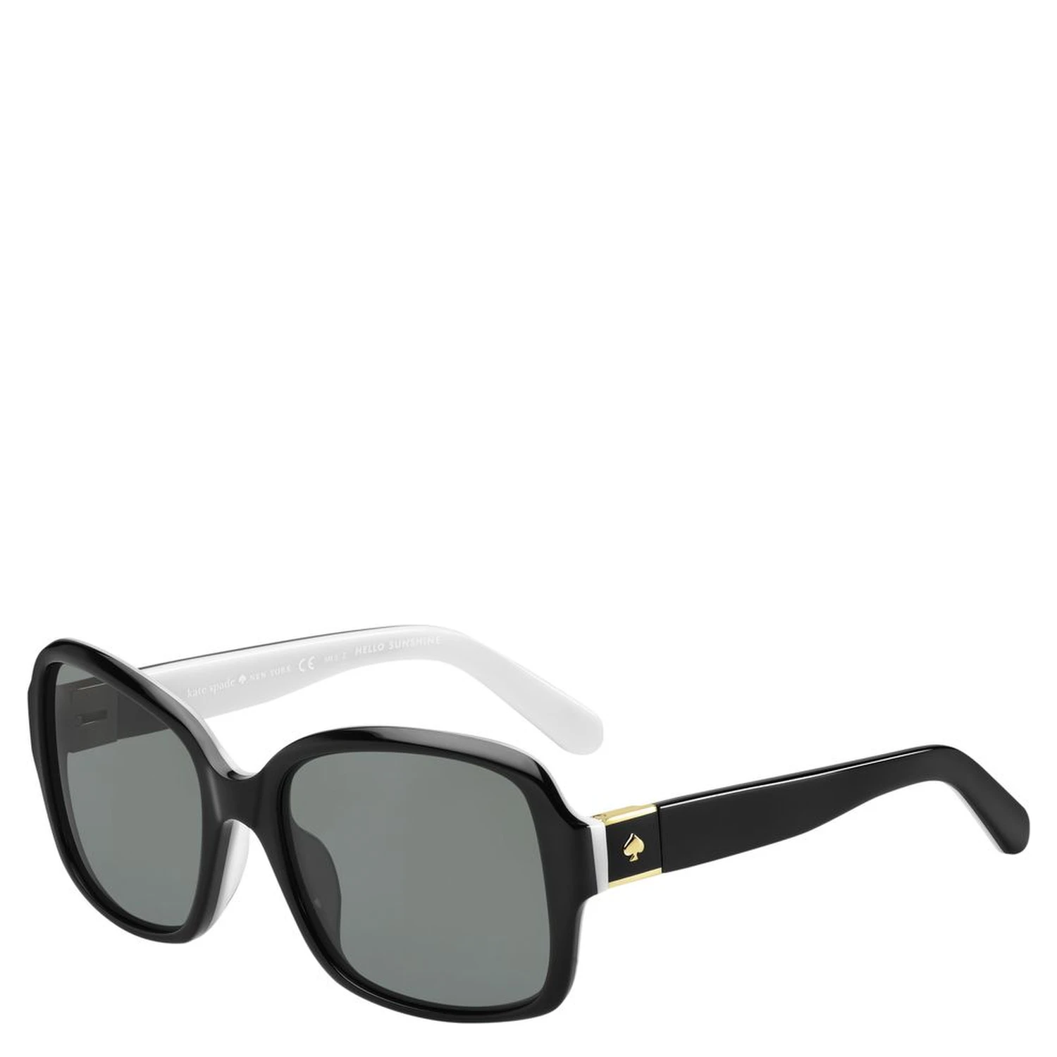 Black Acetate Sunglasses
