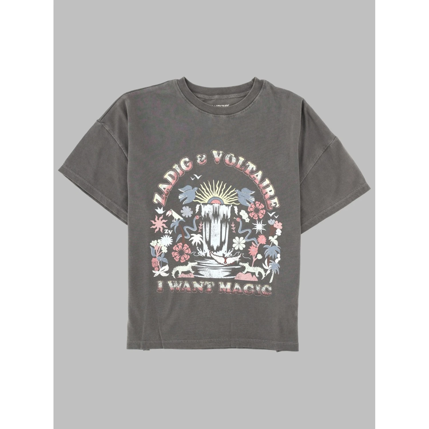 tee shirt
