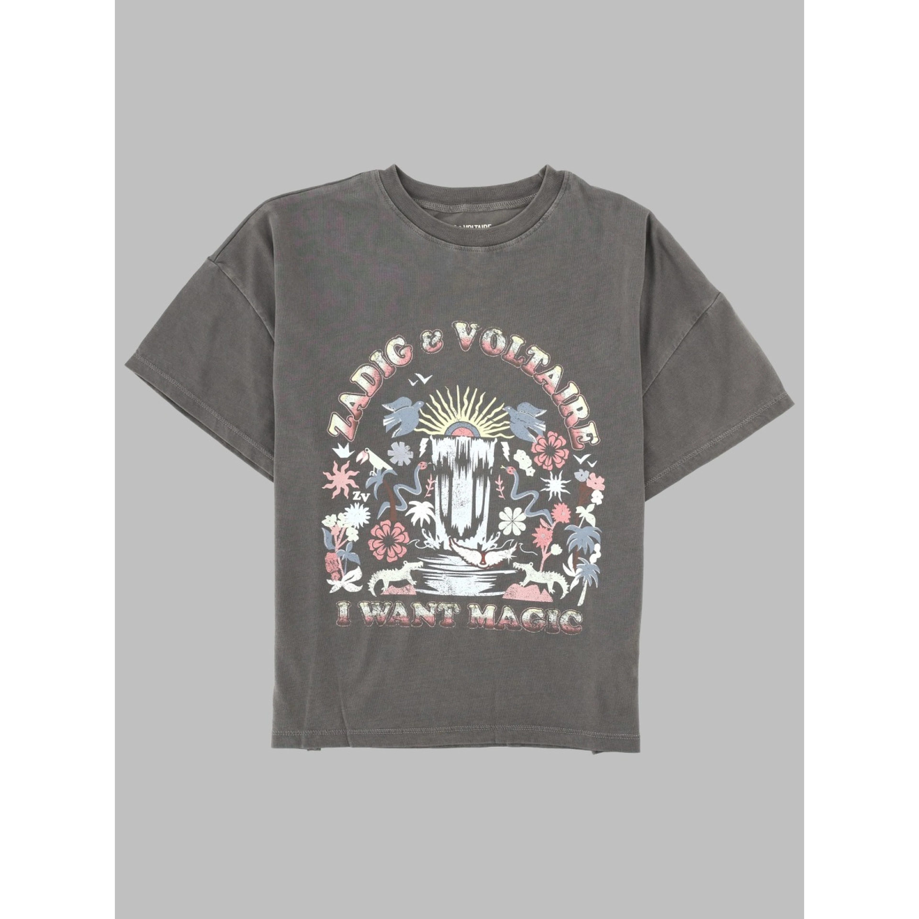 tee shirt