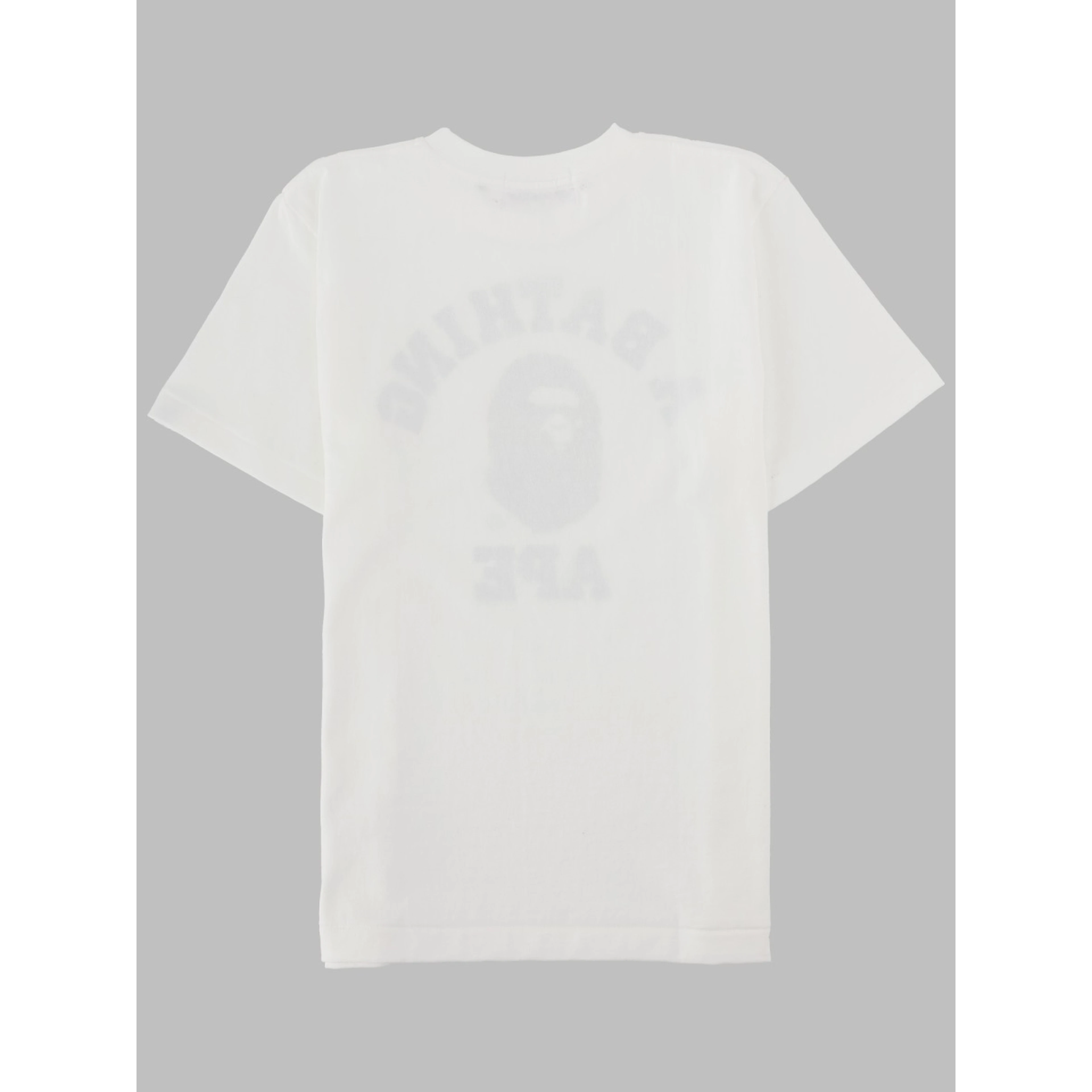 camo college t