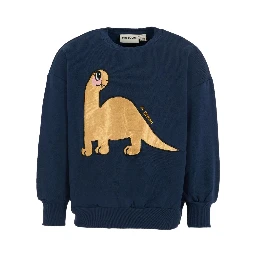 Mini Rodini Sweaters