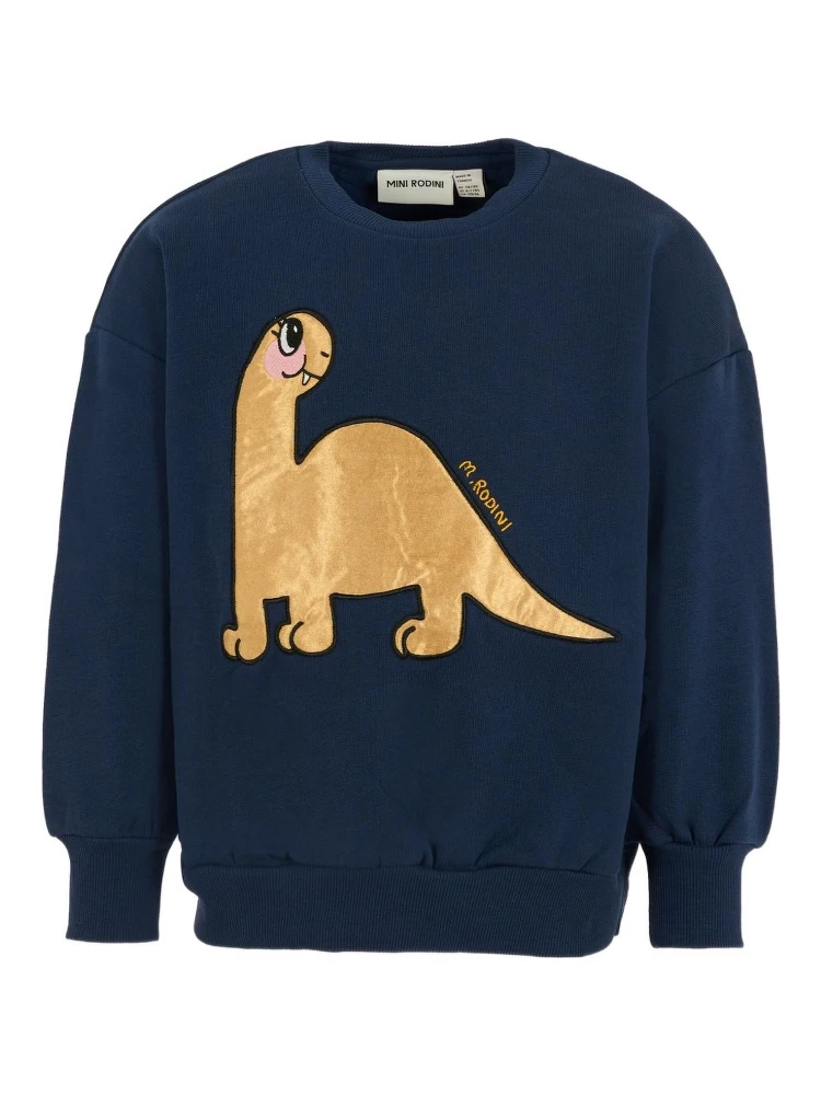 Mini Rodini Sweaters