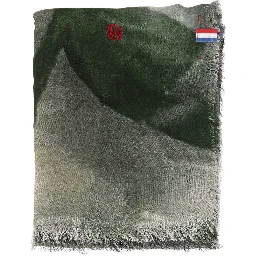 TALKING WALLS Scarfs
