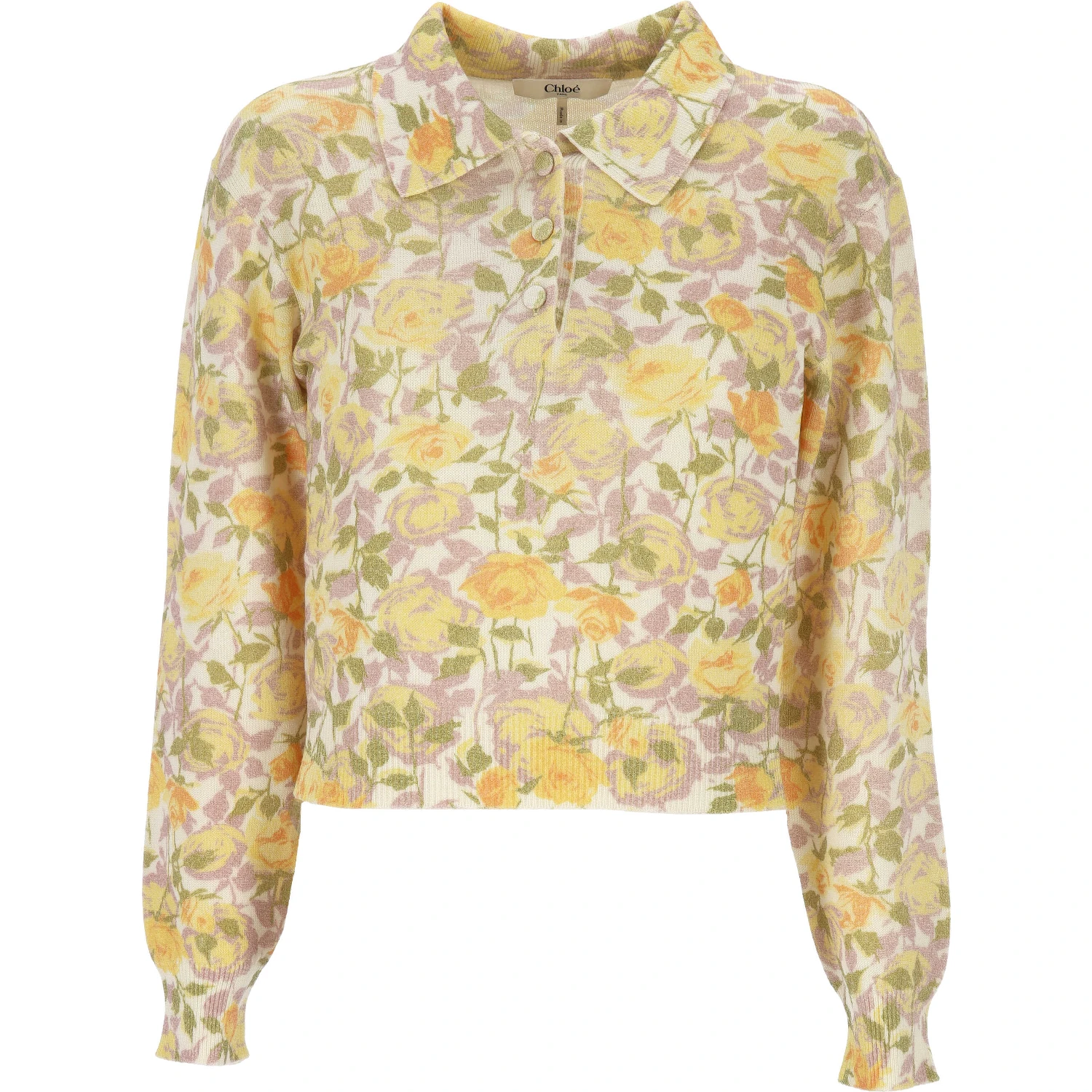 Chloè Sweaters