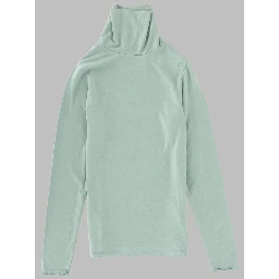 light blue wolf cub