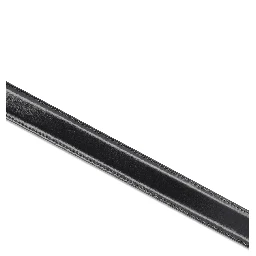 Céline Belts