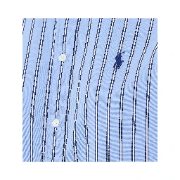Polo Ralph Lauren Shirts Blue