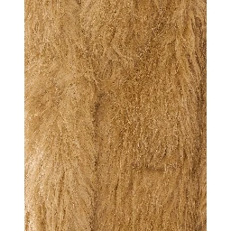 Isabel Marant Jackets