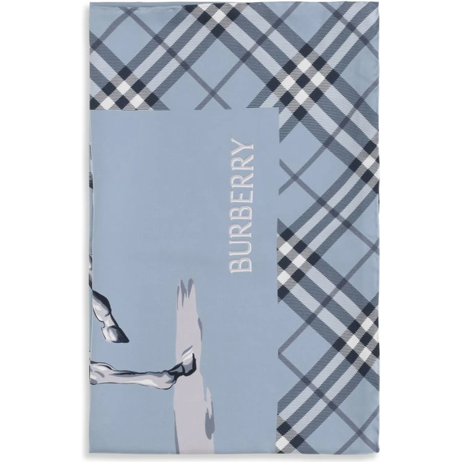 Blue Silk Scarf