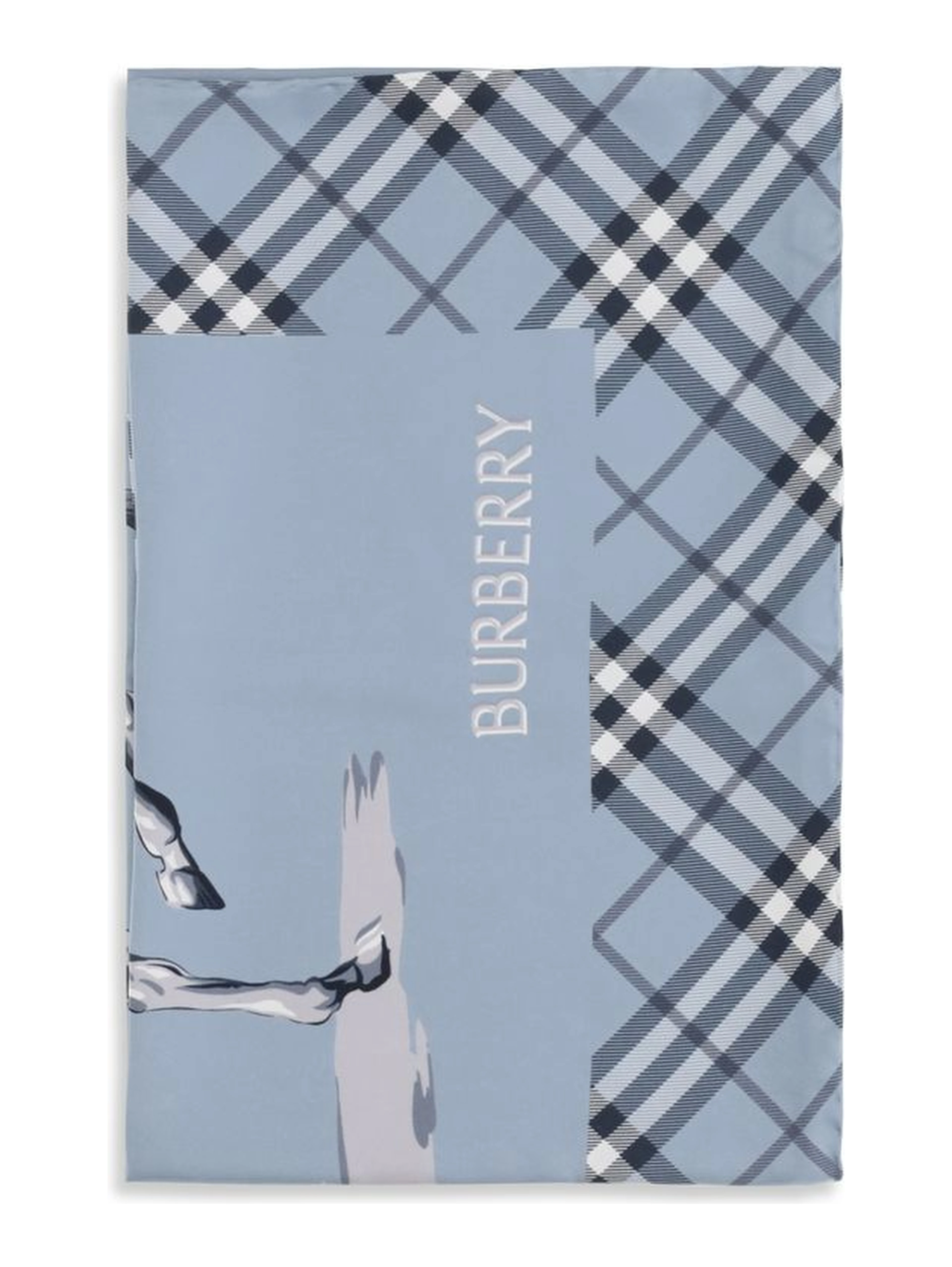 Blue Silk Scarf