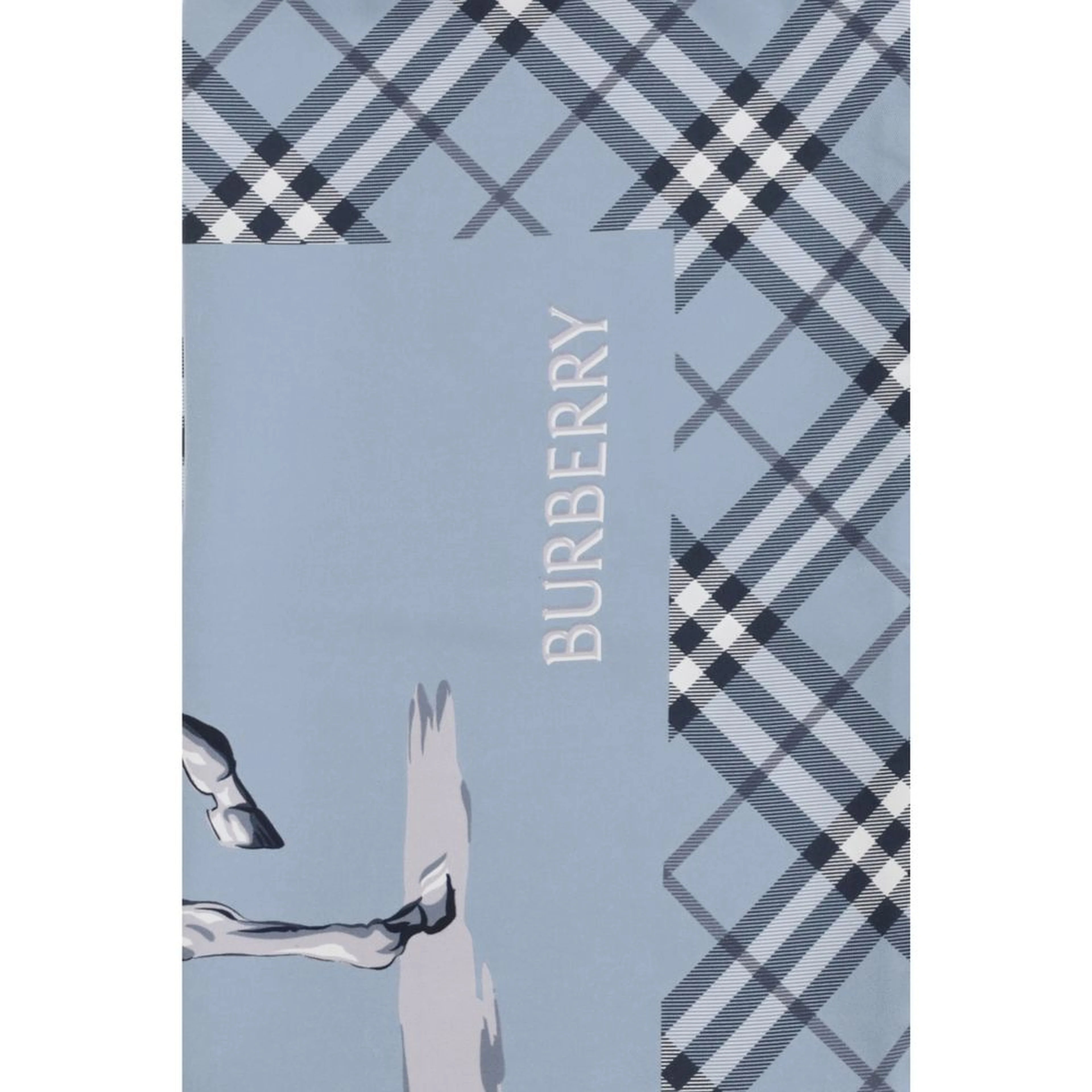 Blue Silk Scarf