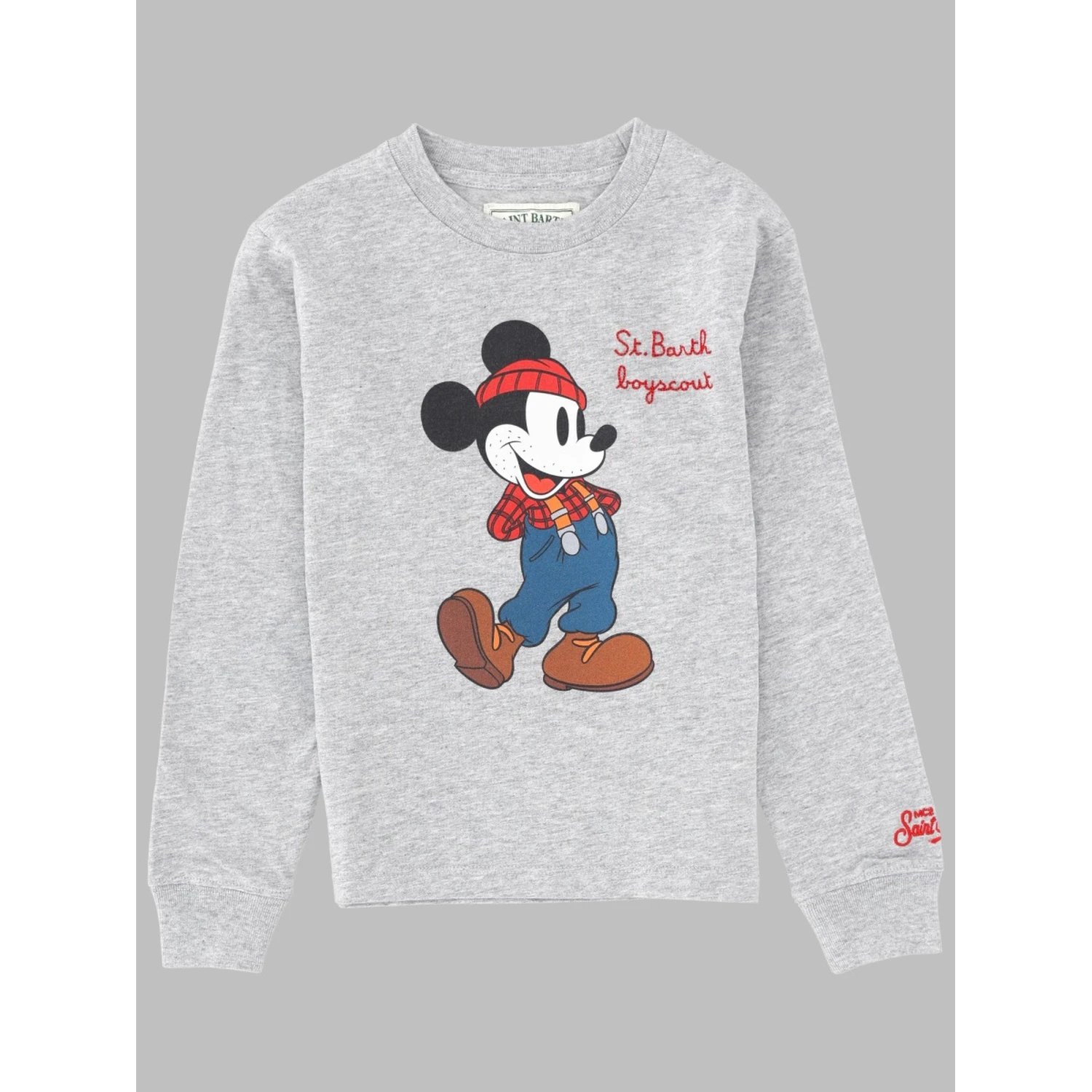 luton jr - mickey scout