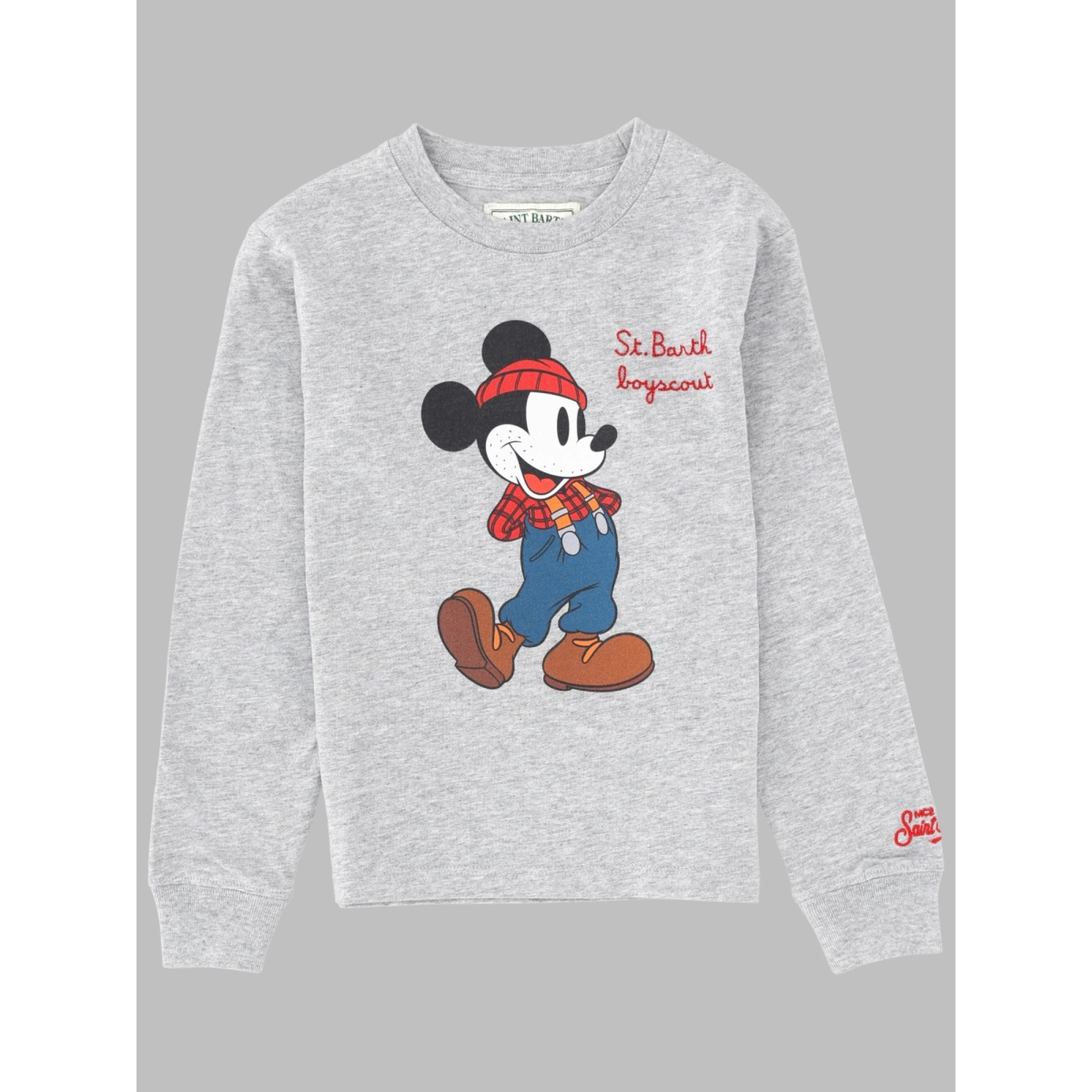 luton jr - mickey scout
