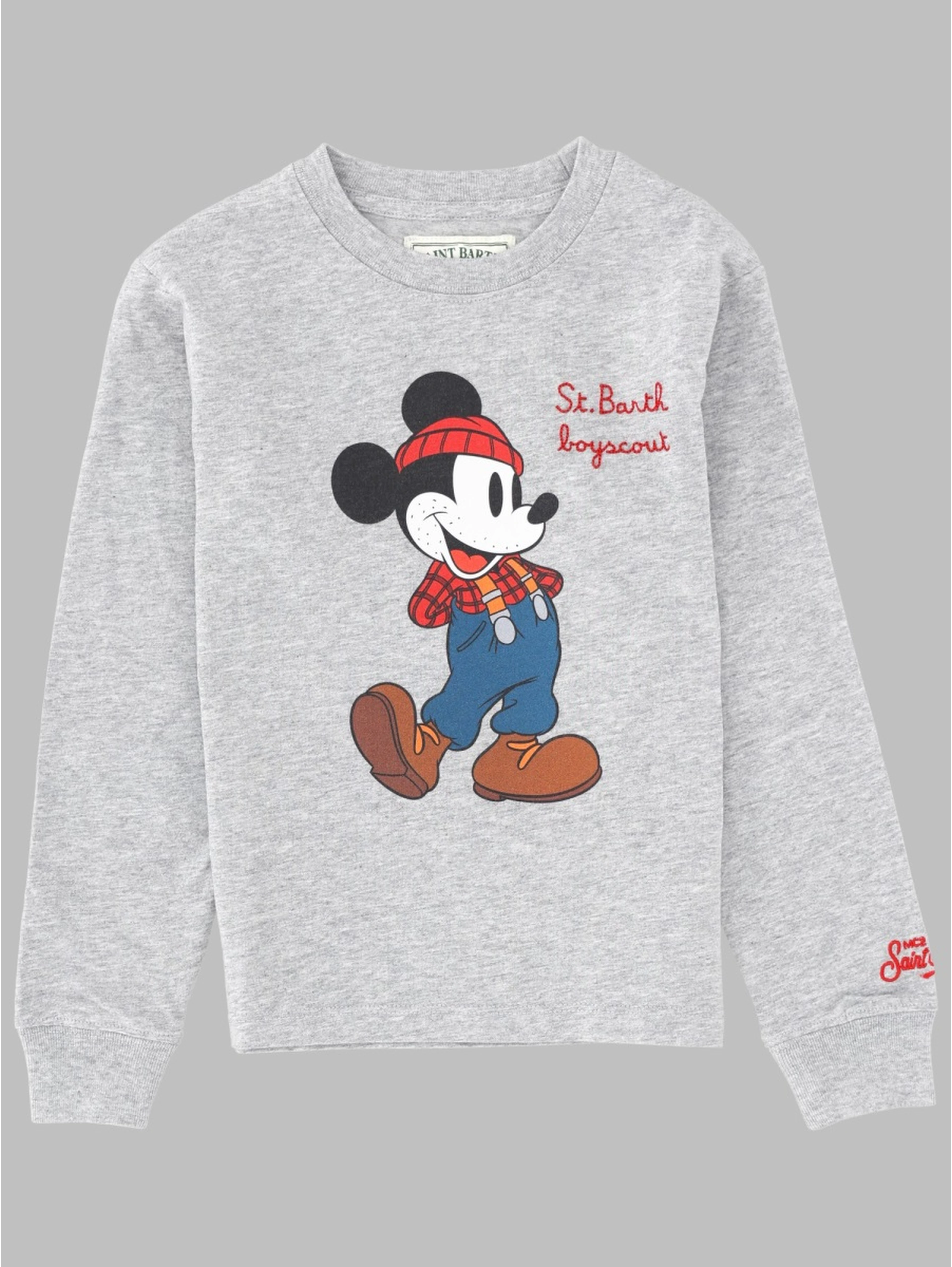 luton jr - mickey scout
