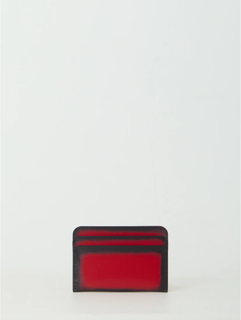 Canopy card holder