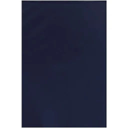 Blue Silk Long Skirt