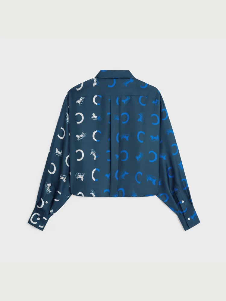 CELINE shirt alternative