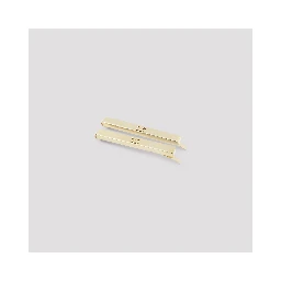 Celine Set Of 2 Hair Slides