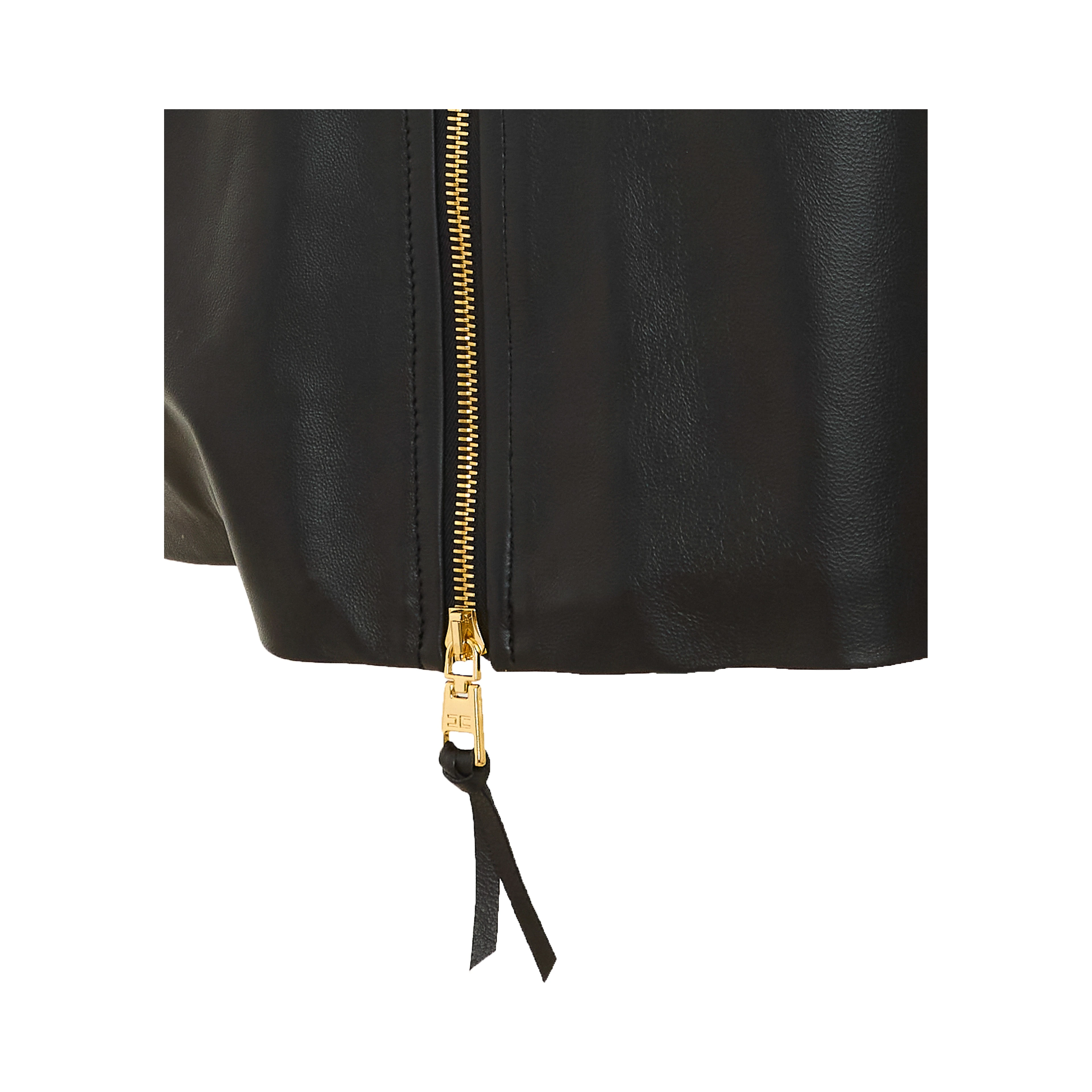 Elisabetta Franchi Skirts Black