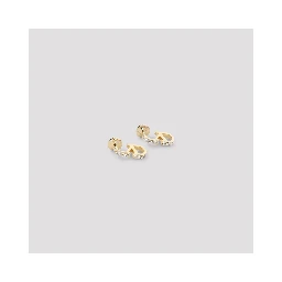 Valentino Garavani Earrings