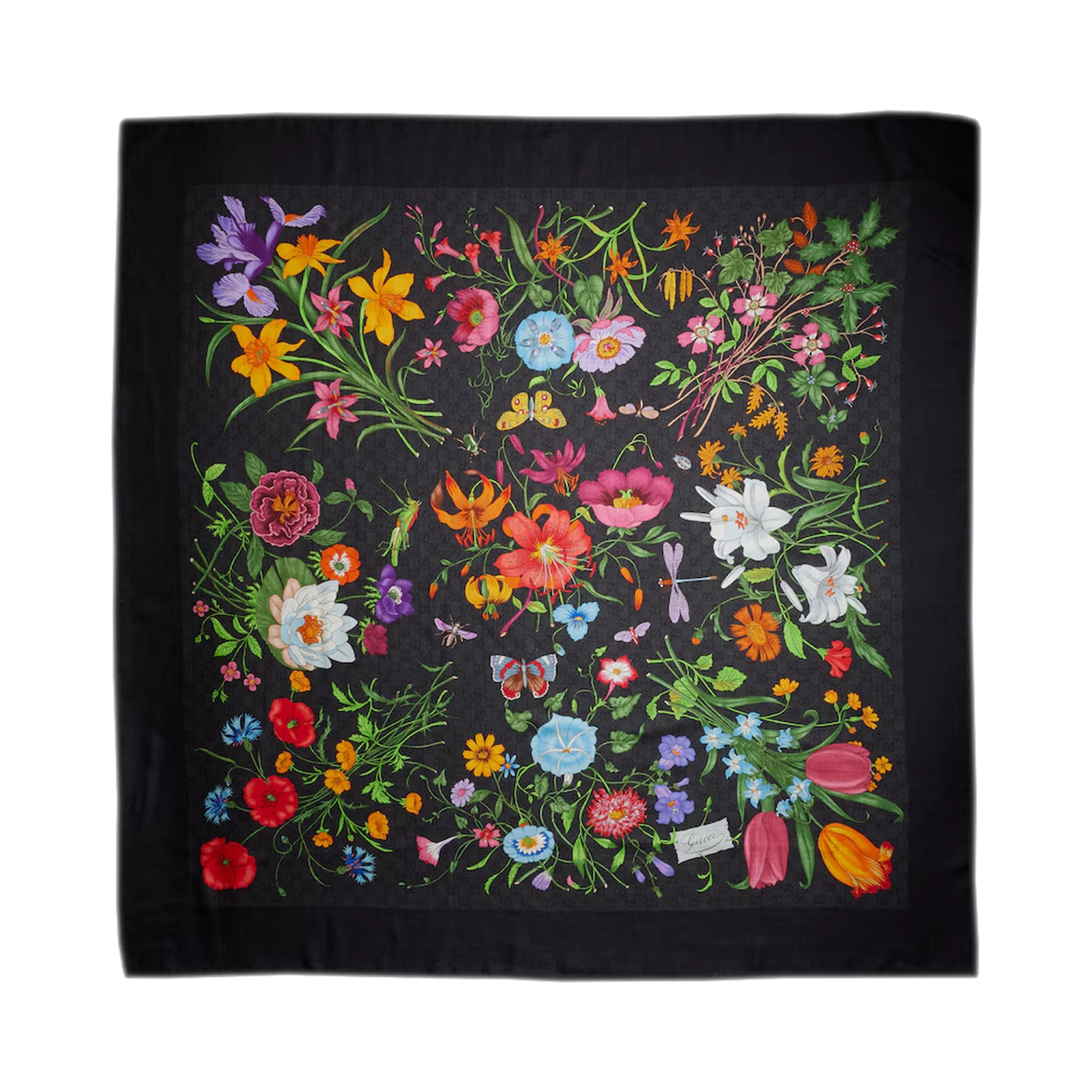 GUCCI Scarfs Black