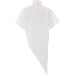 Alaia T-shirts and Polos
