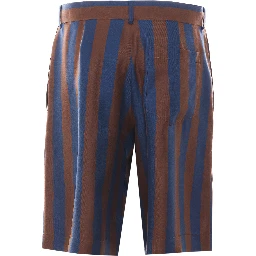 Fendi Shorts Blue