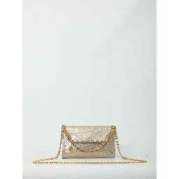 Falabella wallet on chain crossbody bag