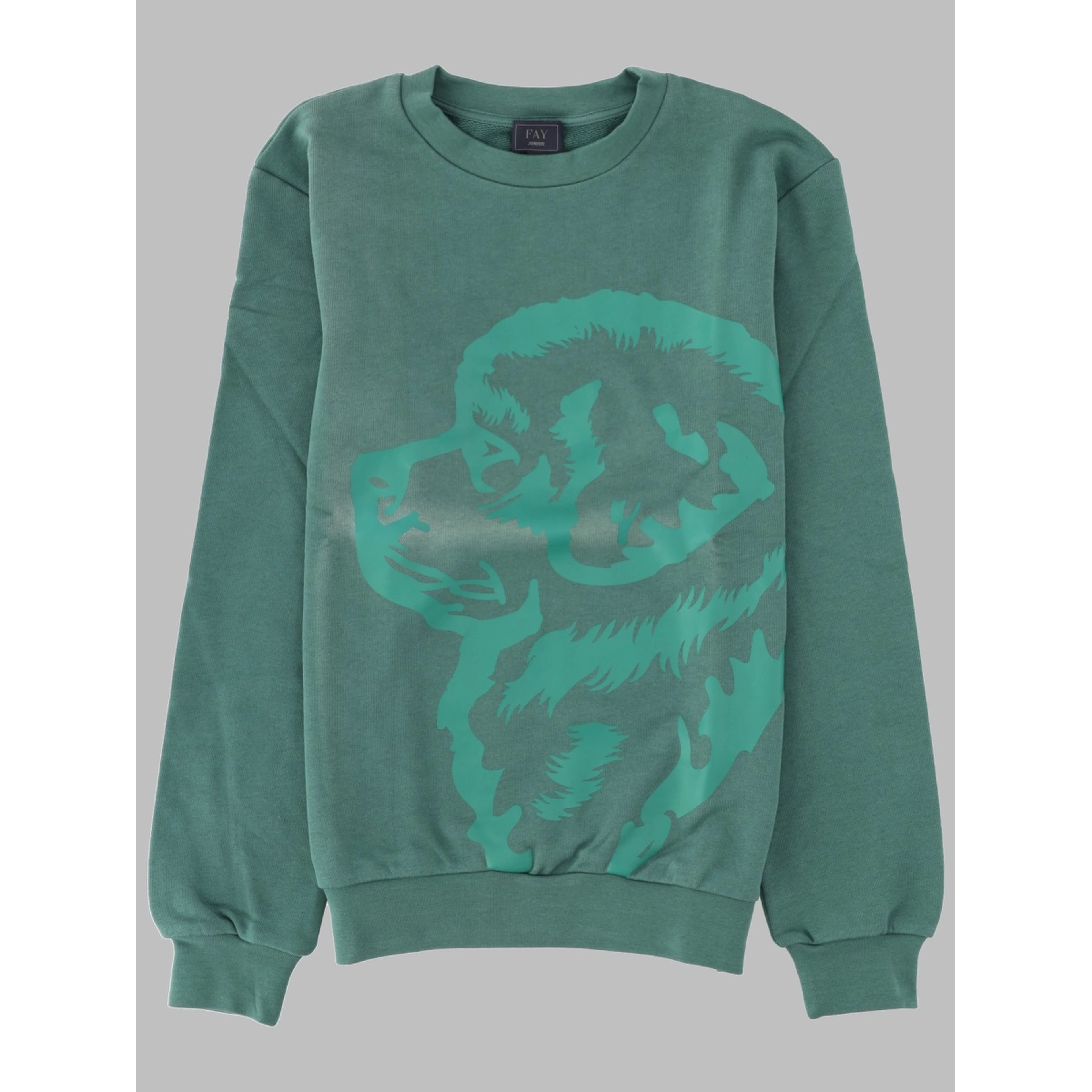 SWEATSHIRTS