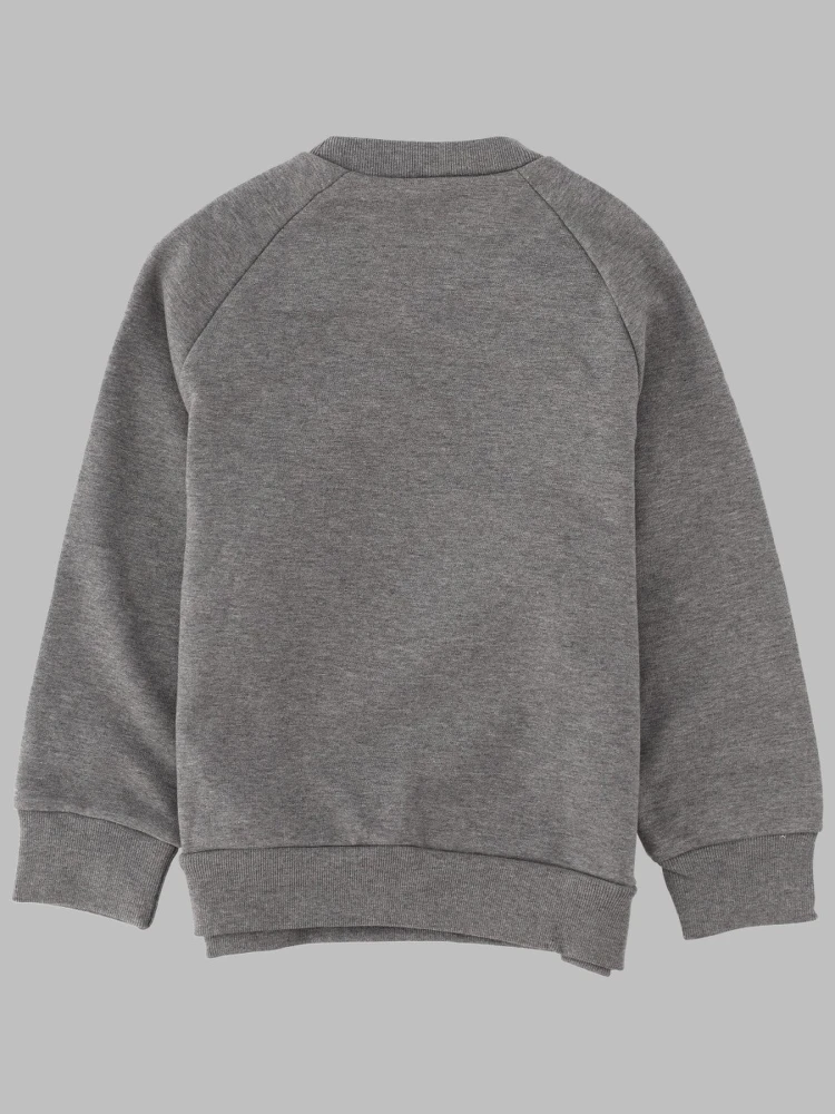 SWEATSHIRTS alternative