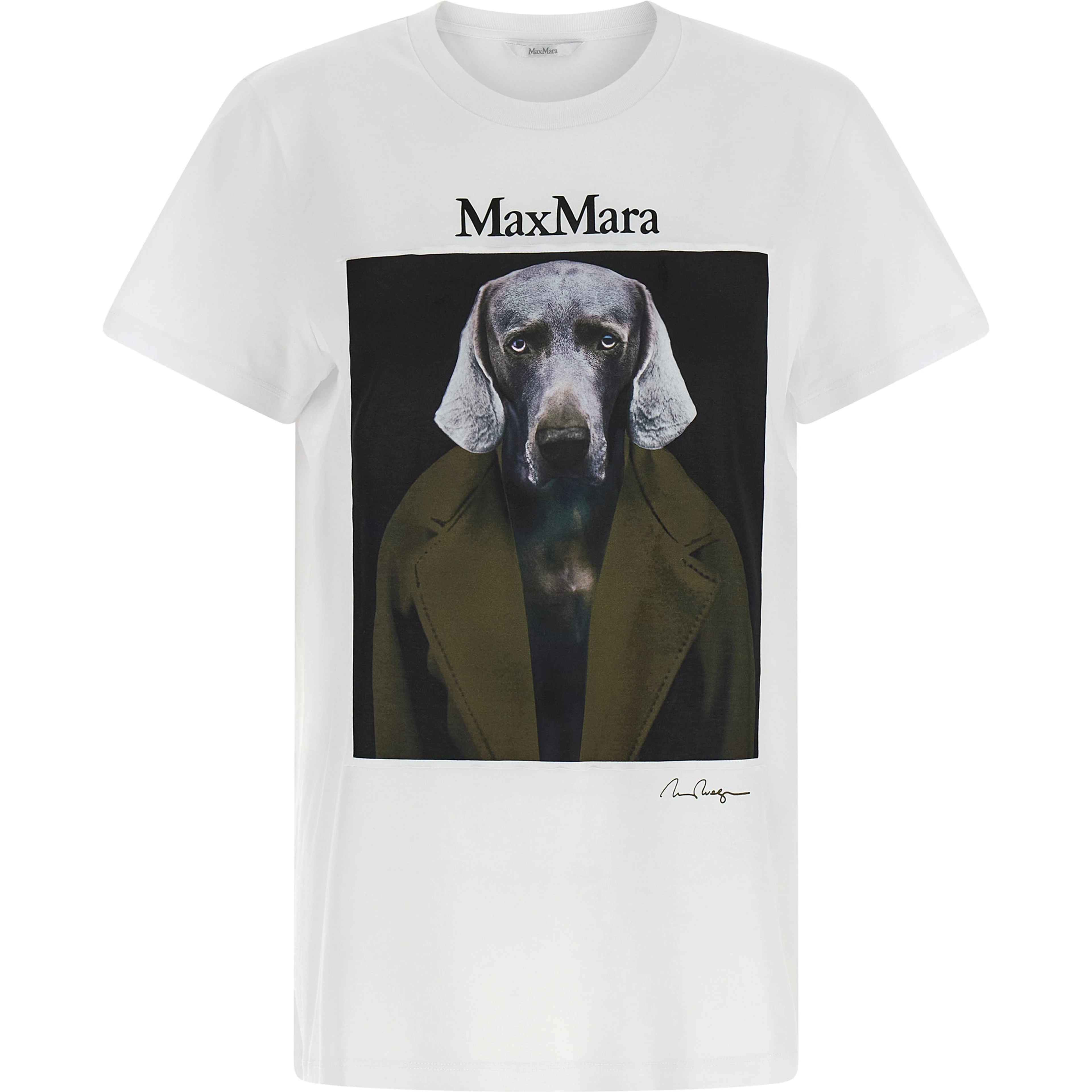 White Cotton T-Shirt
