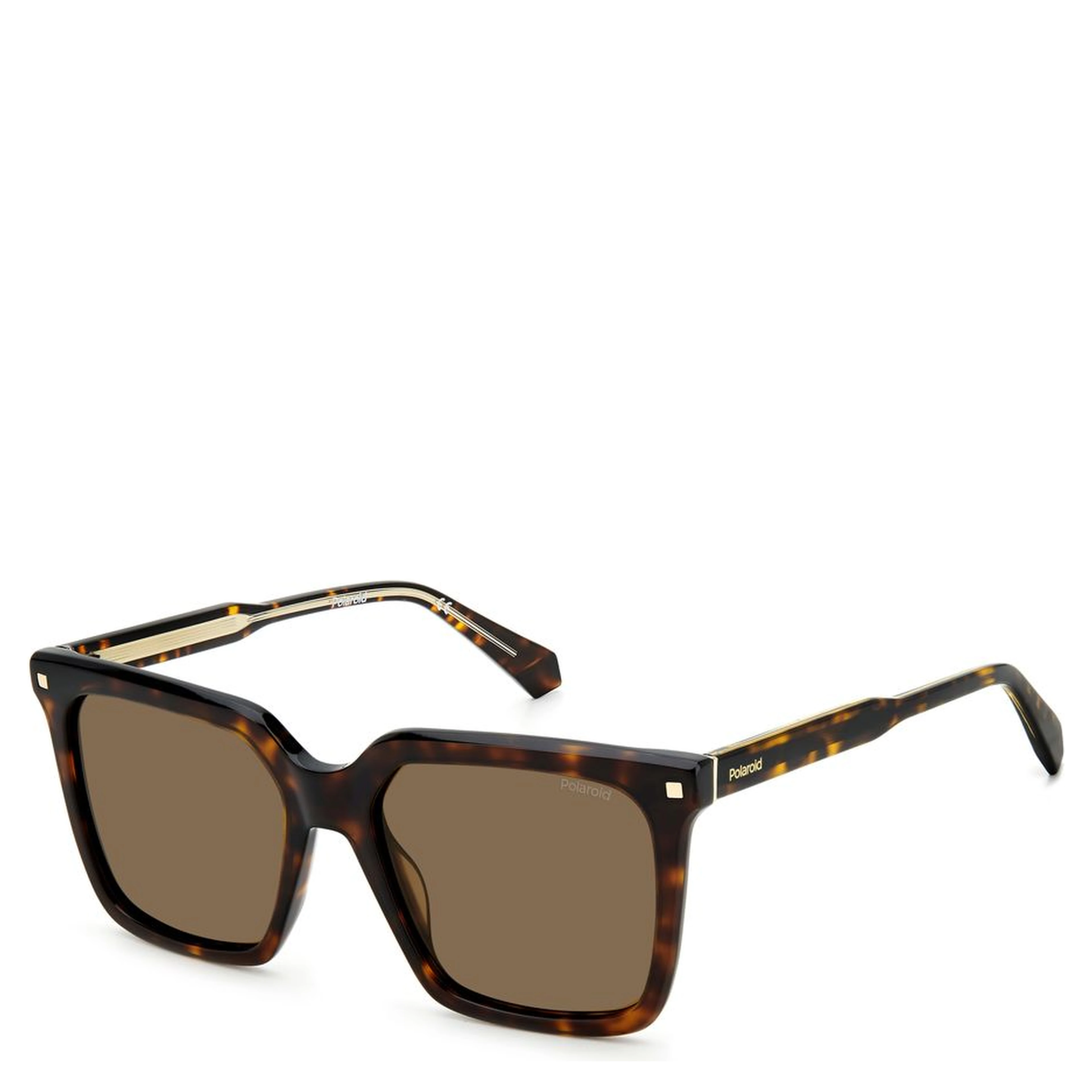 Brown Acetate Sunglasses