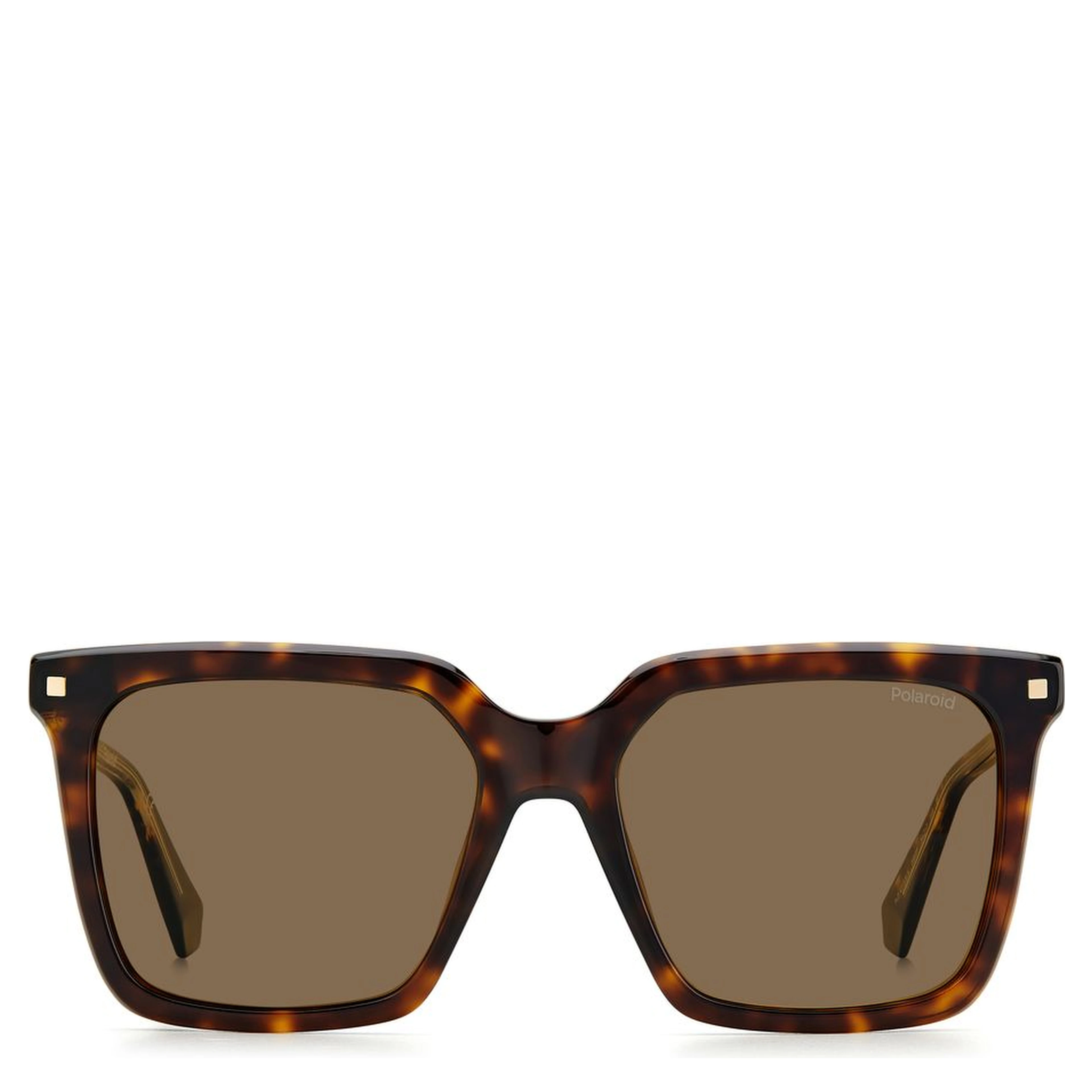Brown Acetate Sunglasses