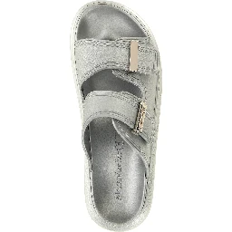 Silver Rubber Slides