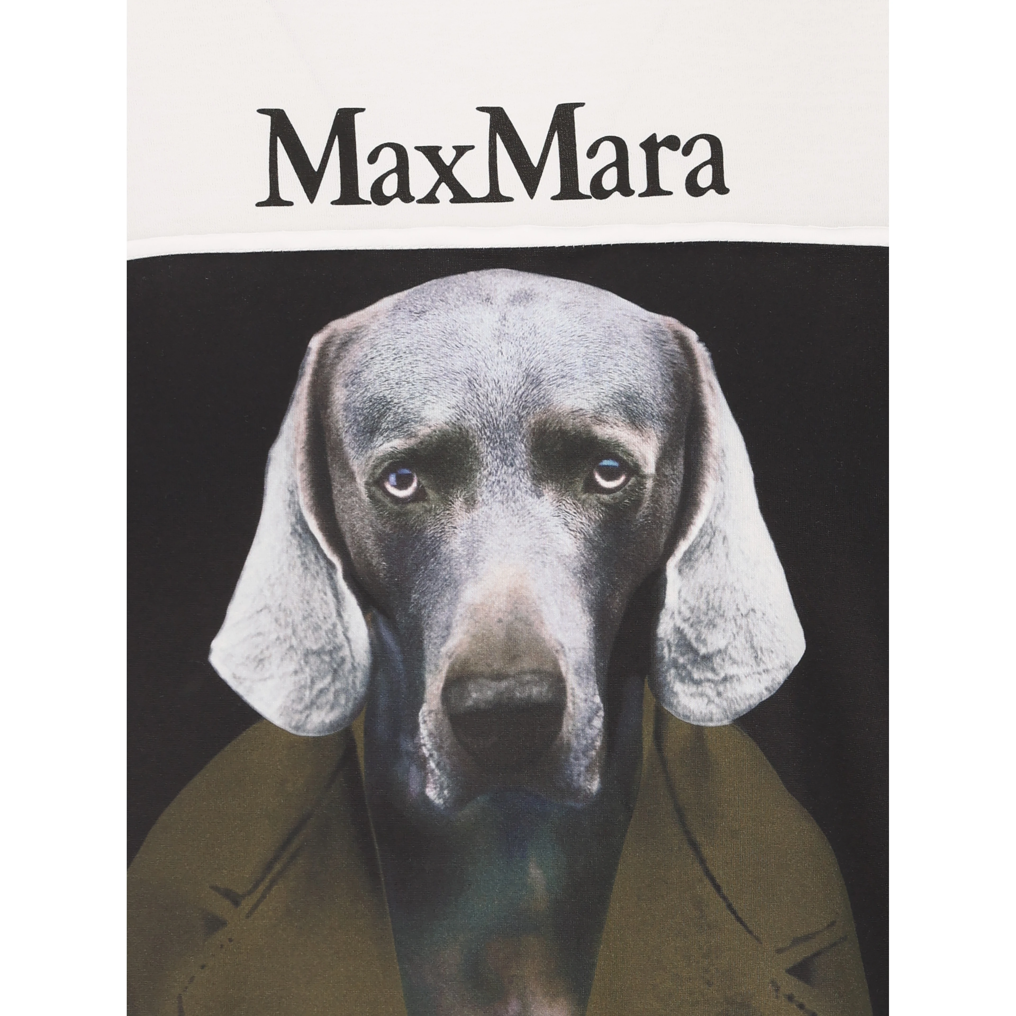 Max Mara T-shirts and Polos White