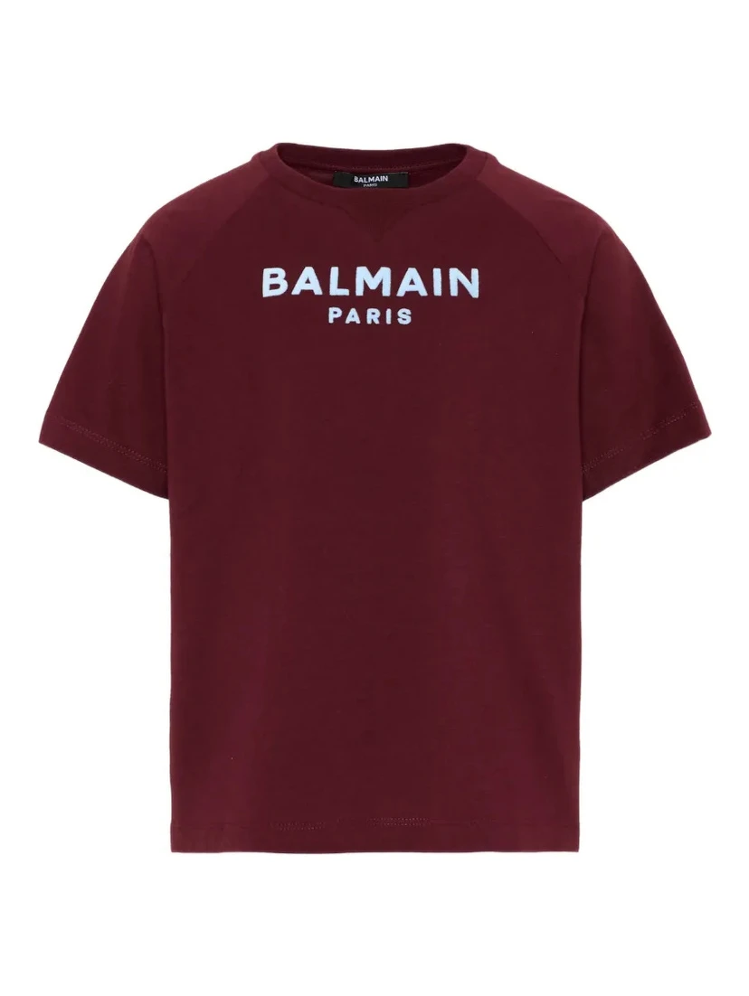 Balmain T-shirts and Polos