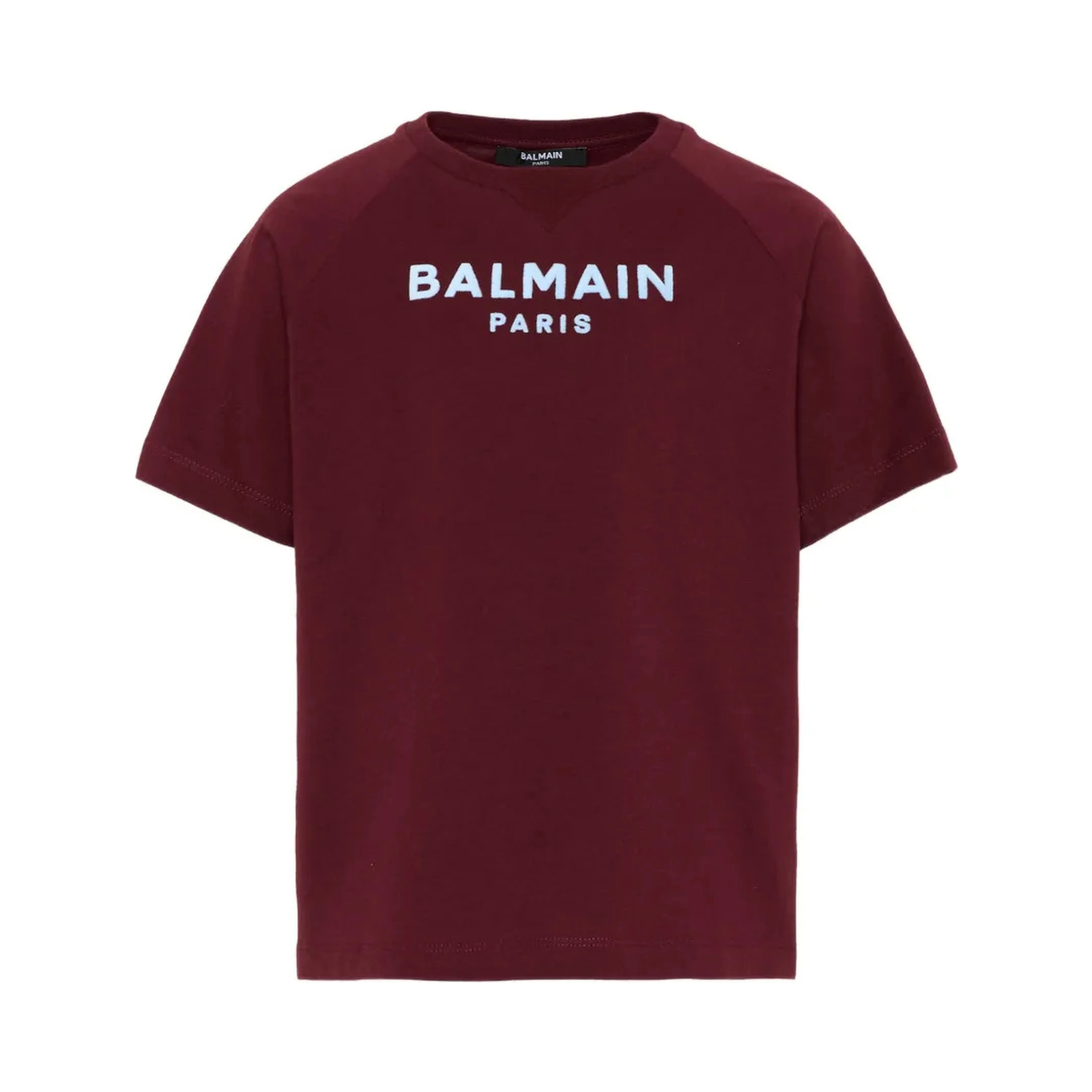 Balmain T-shirts and Polos