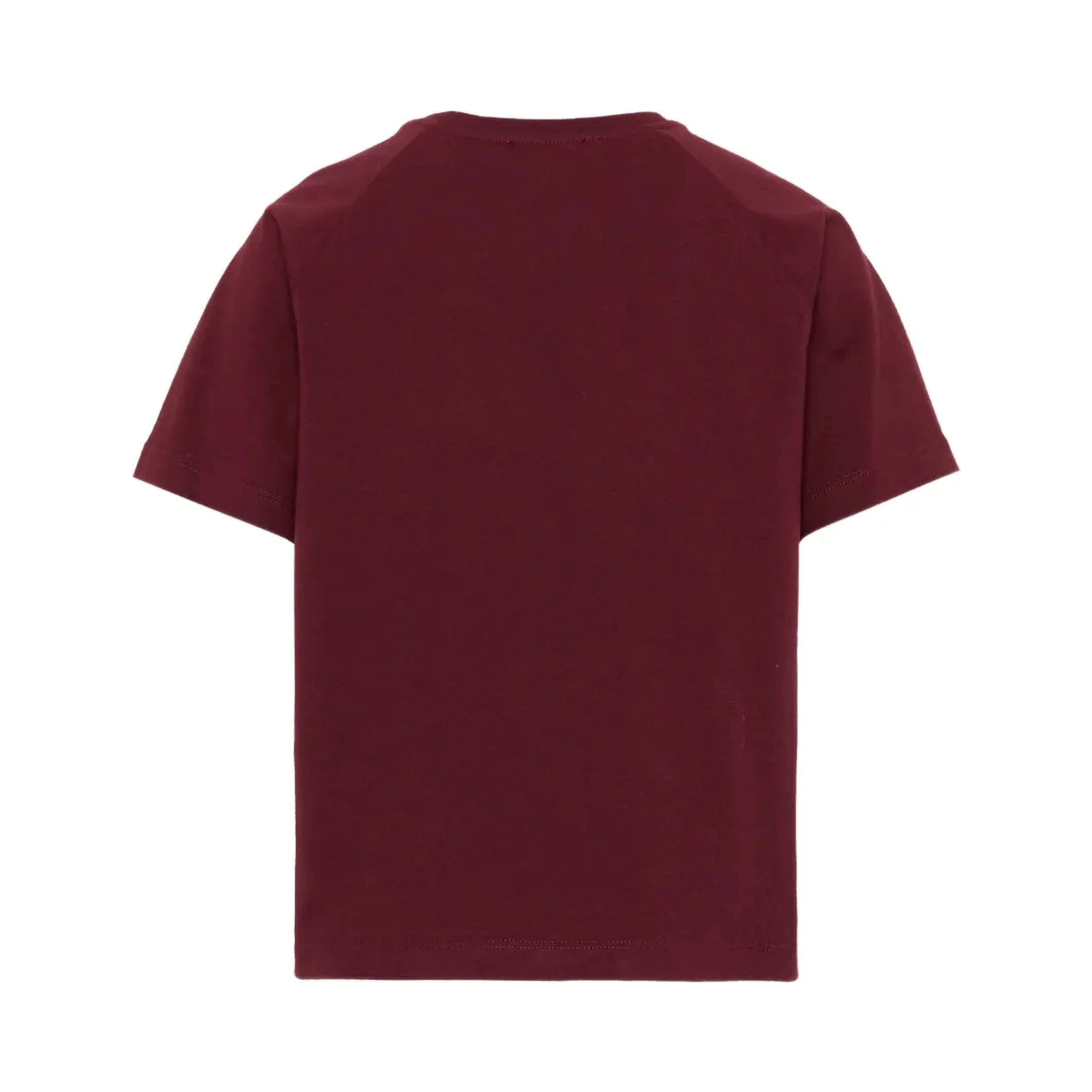 Balmain T-shirts and Polos