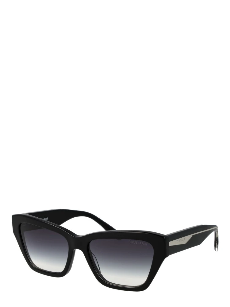 Black Acetate Sunglasses