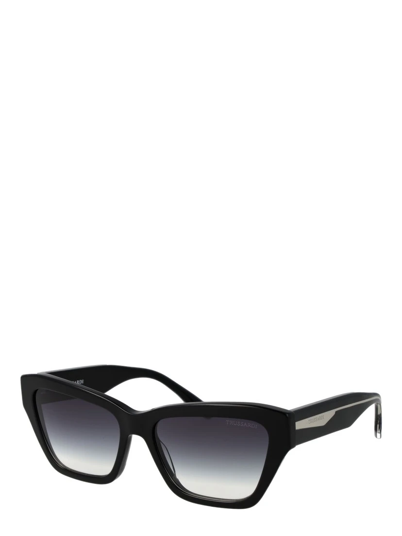 Black Acetate Sunglasses