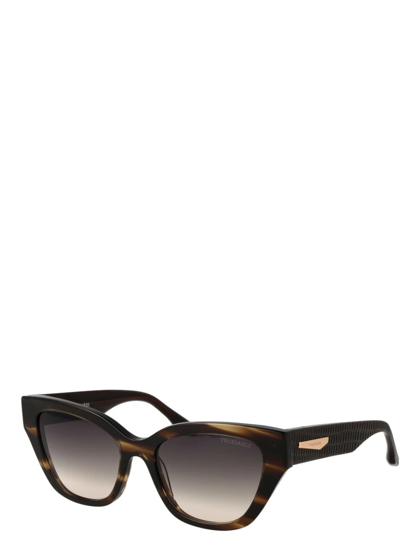 Brown Acetate Sunglasses