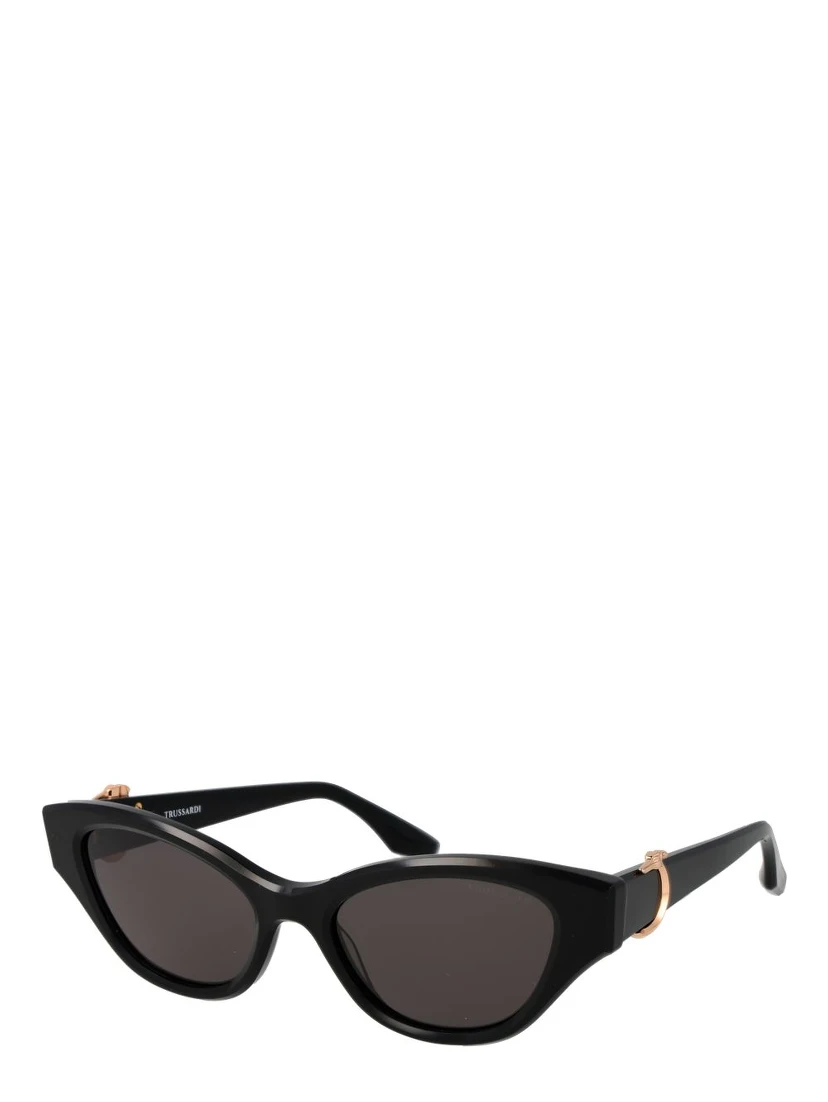 Black Acetate Sunglasses
