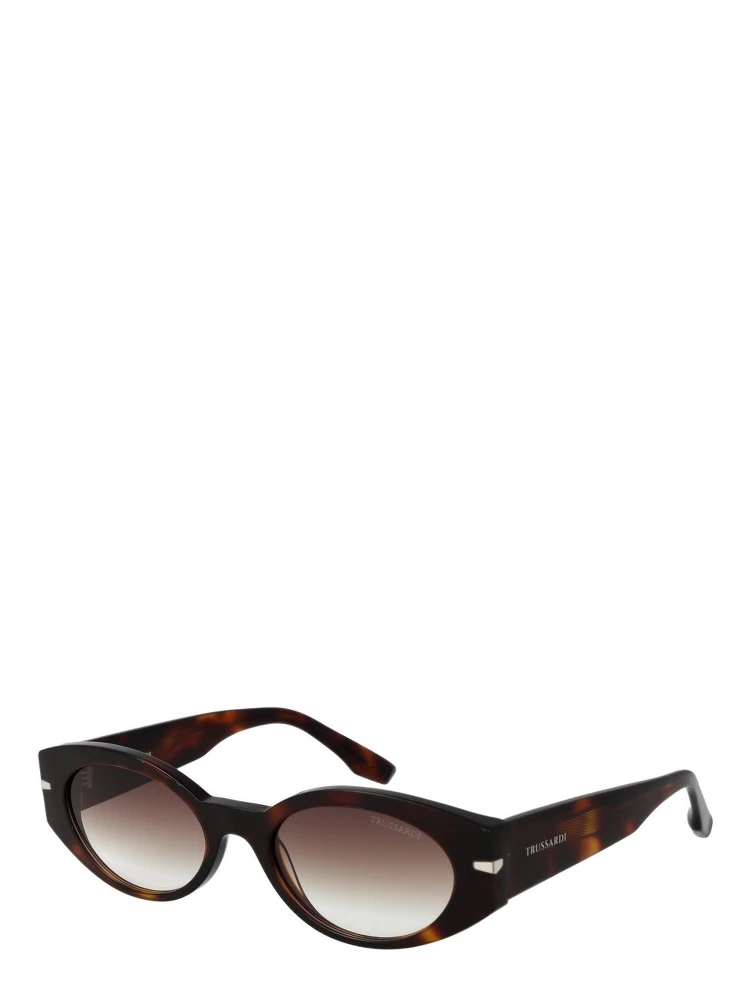 Brown Acetate Sunglasses